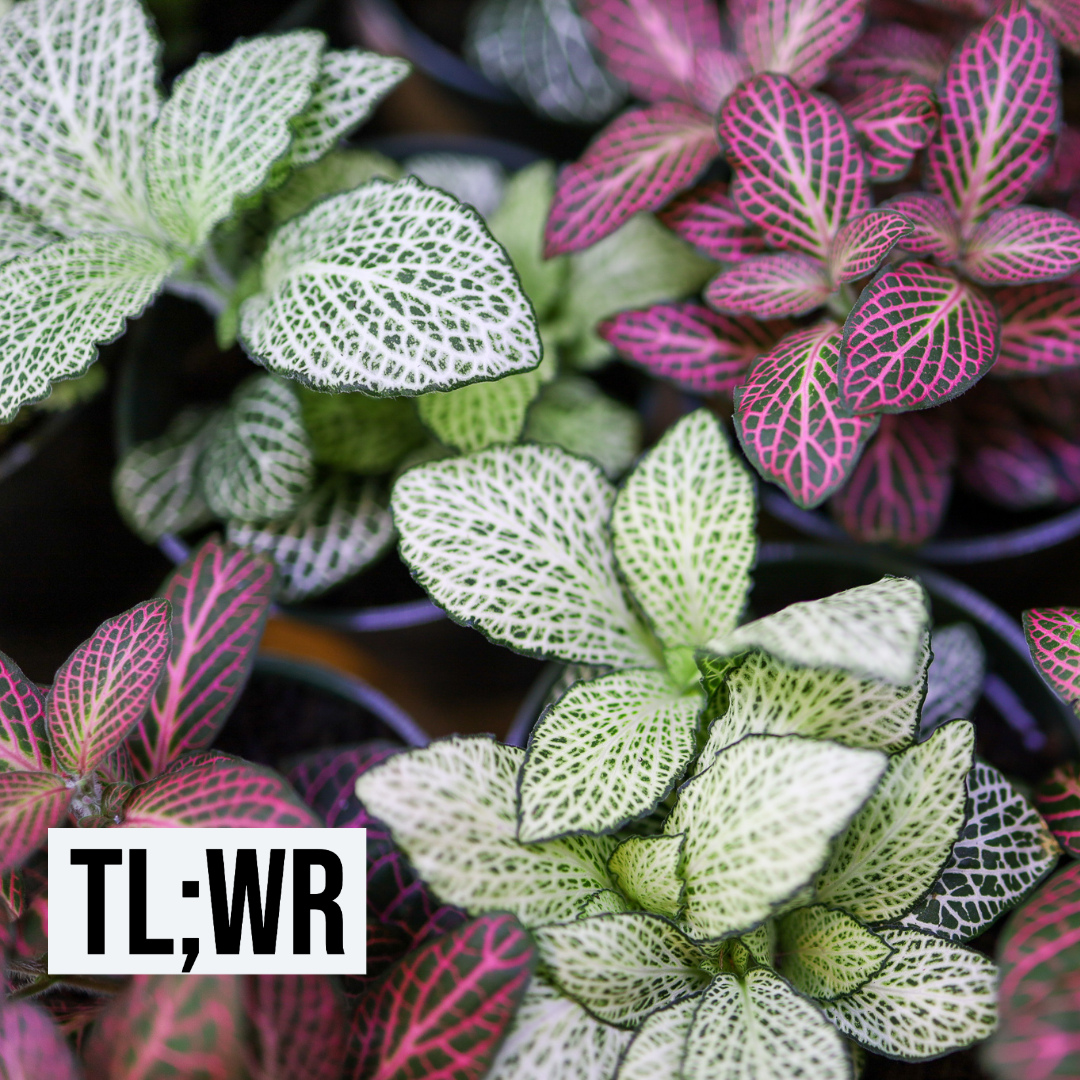 That's what you get.