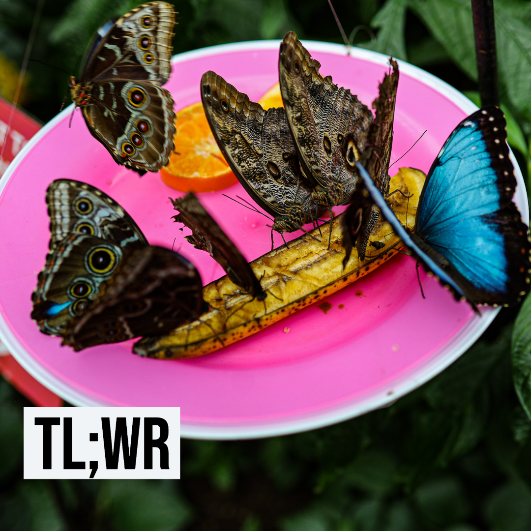 Who signed up to bring plates?