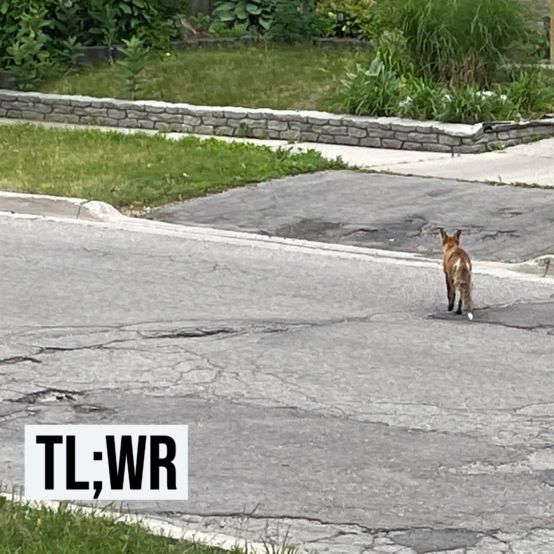 The waiting is the hardest part.