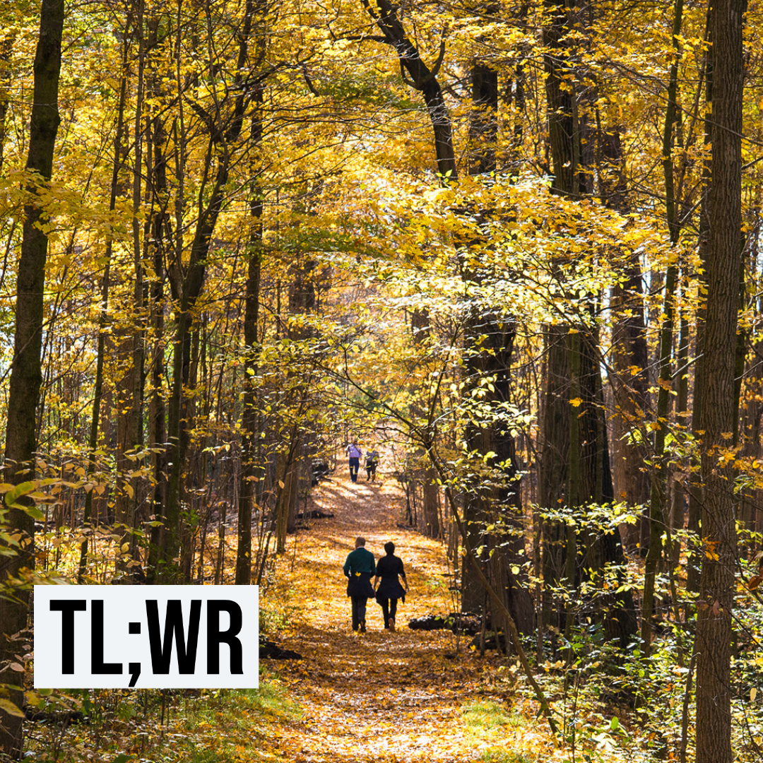 We can have nice things if we wear our masks.